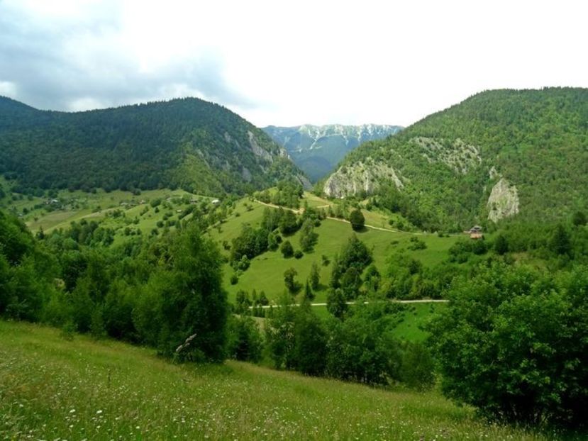  - 03 - Satele Măgura și Peștera