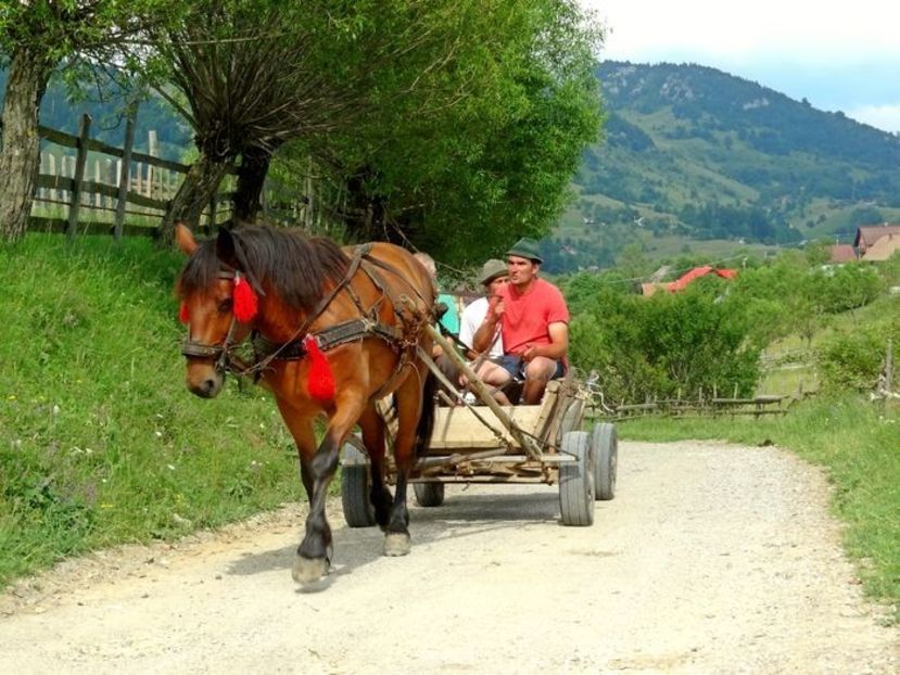  - 03 - Satele Măgura și Peștera