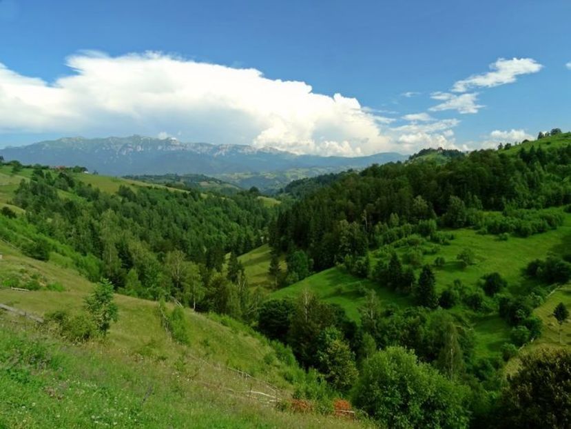  - 03 - Satele Măgura și Peștera