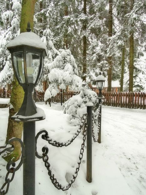  - 04 - Brașov-Postăvaru-feb 2017