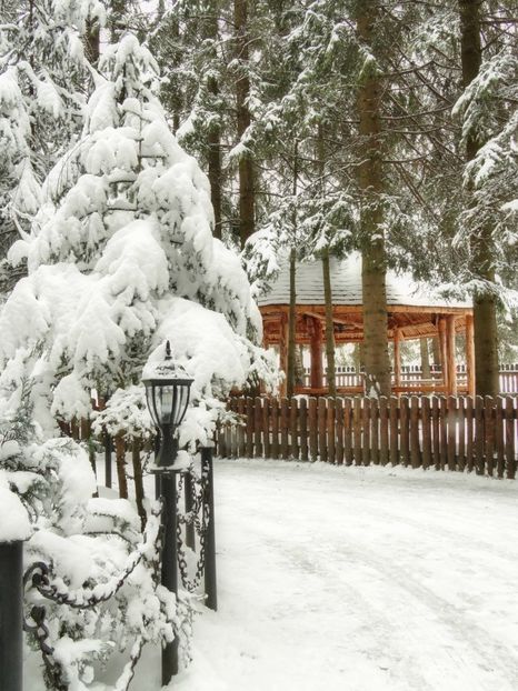  - 04 - Brașov-Postăvaru-feb 2017