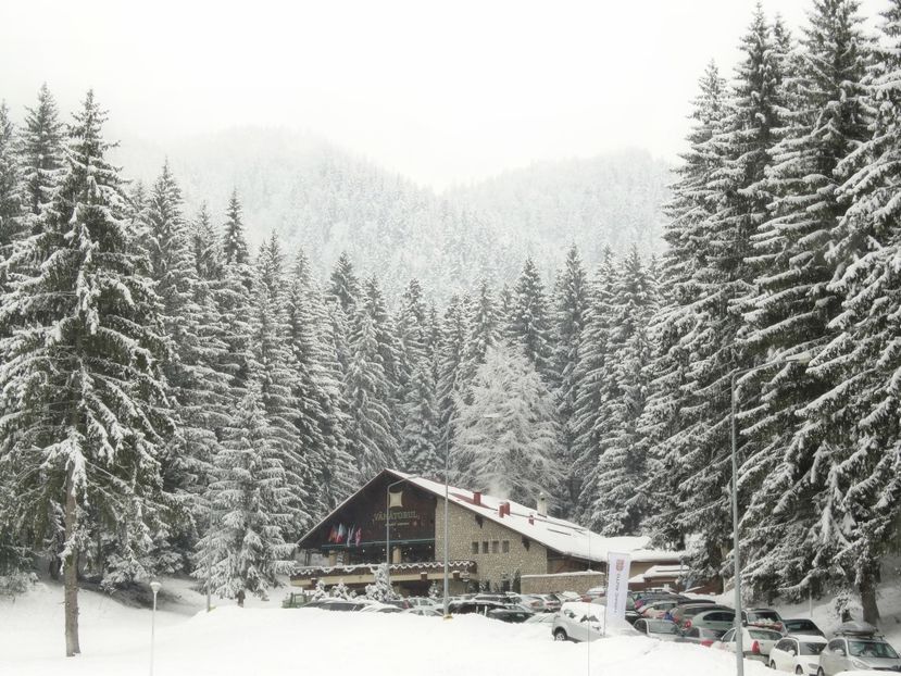  - 04 - Brașov-Postăvaru-feb 2017