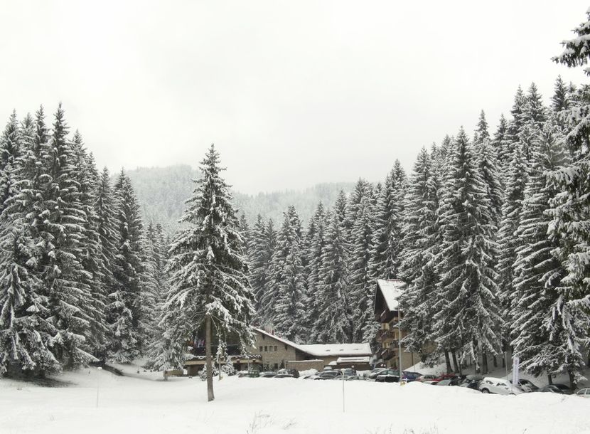  - 04 - Brașov-Postăvaru-feb 2017