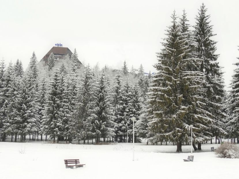 prin Poiana - 04 - Brașov-Postăvaru-feb 2017