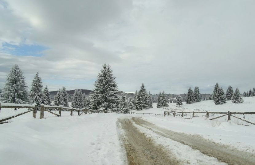  - 04 - Brașov-Postăvaru-feb 2017