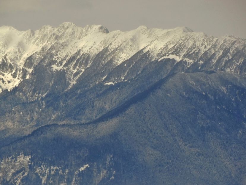  - 04 - Brașov-Postăvaru-feb 2017