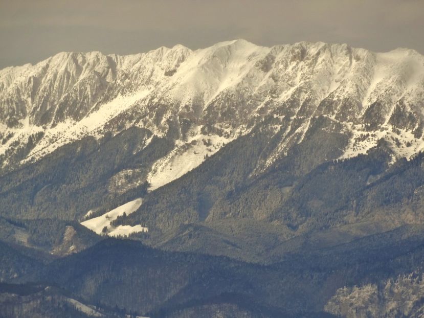 M-ții Piatra Craiului - 04 - Brașov-Postăvaru-feb 2017