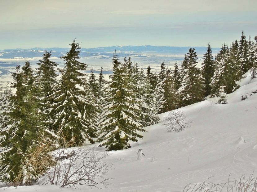  - 04 - Brașov-Postăvaru-feb 2017