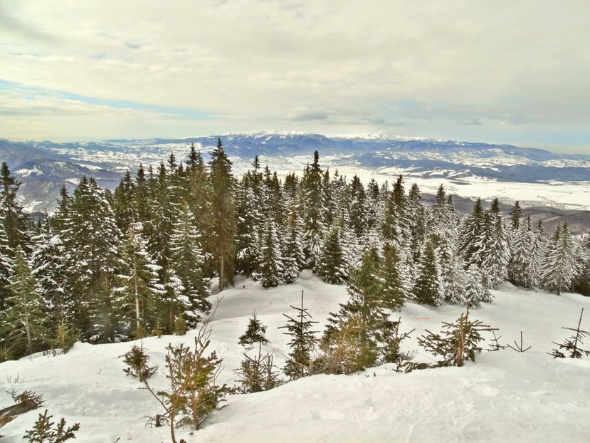  - 04 - Brașov-Postăvaru-feb 2017