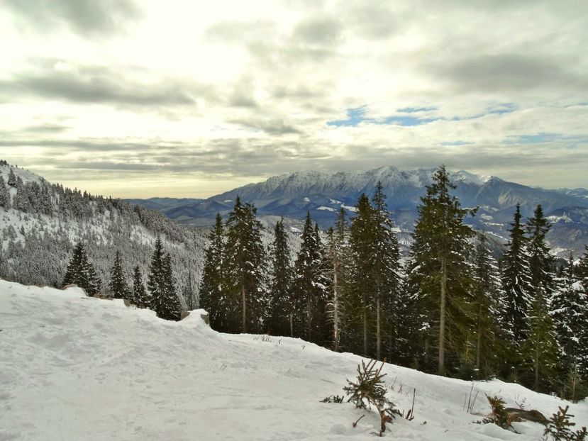  - 04 - Brașov-Postăvaru-feb 2017