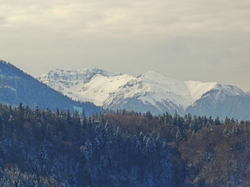  - 04 - Brașov-Postăvaru-feb 2017