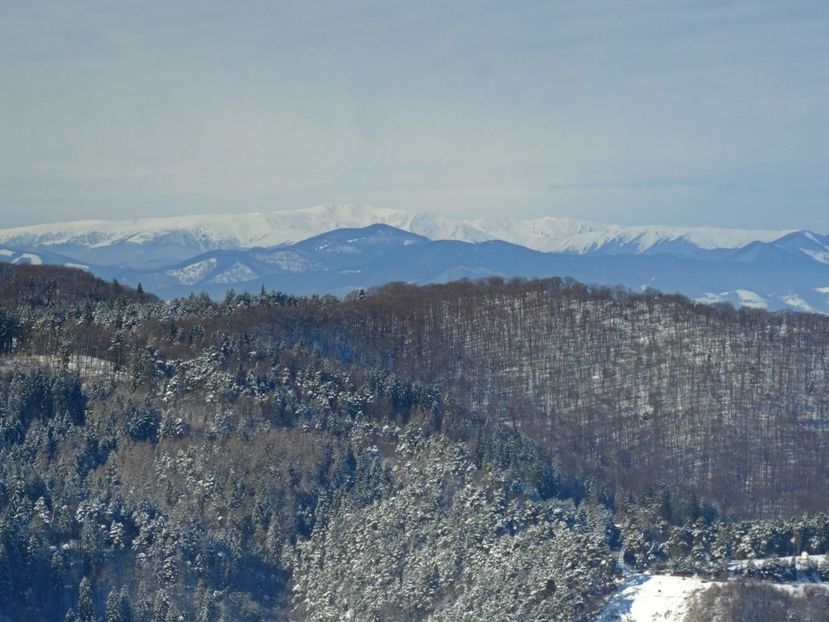  - 04 - Brașov-Postăvaru-feb 2017