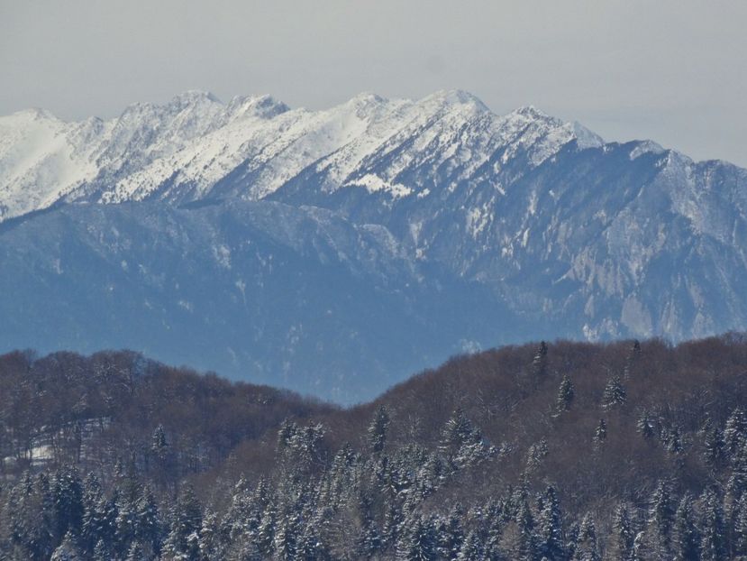  - 04 - Brașov-Postăvaru-feb 2017