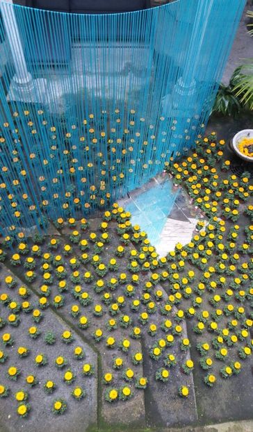  - Girona Temps de flor 2017