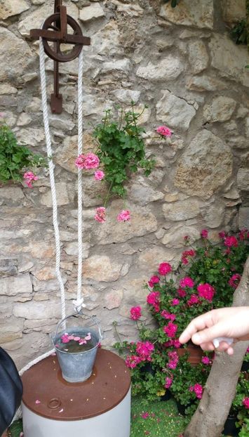  - Girona Temps de flor 2017
