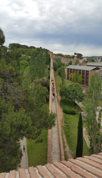  - Girona Temps de flor 2017