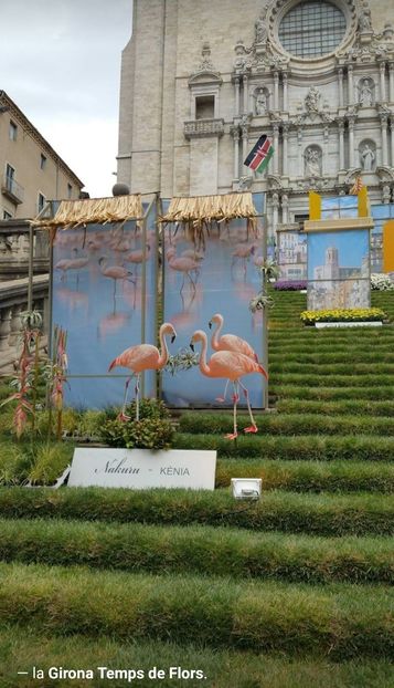  - Girona Temps de flor 2017