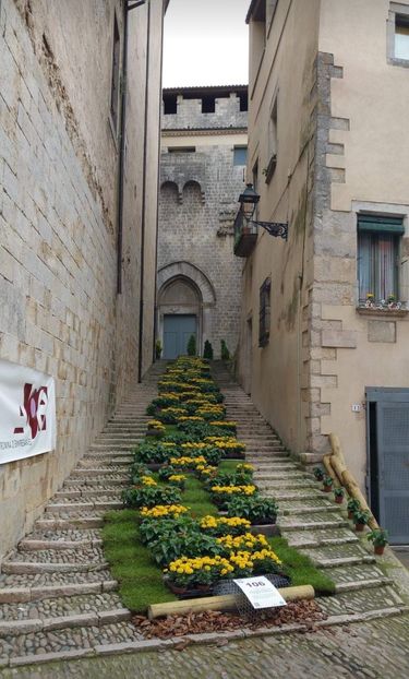  - Girona Temps de flor 2017