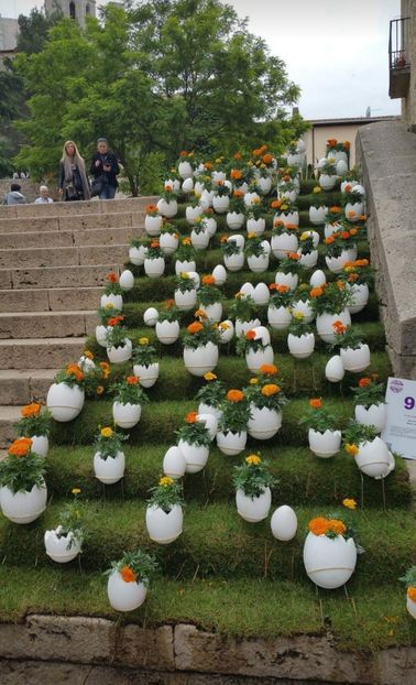  - Girona Temps de flor 2017