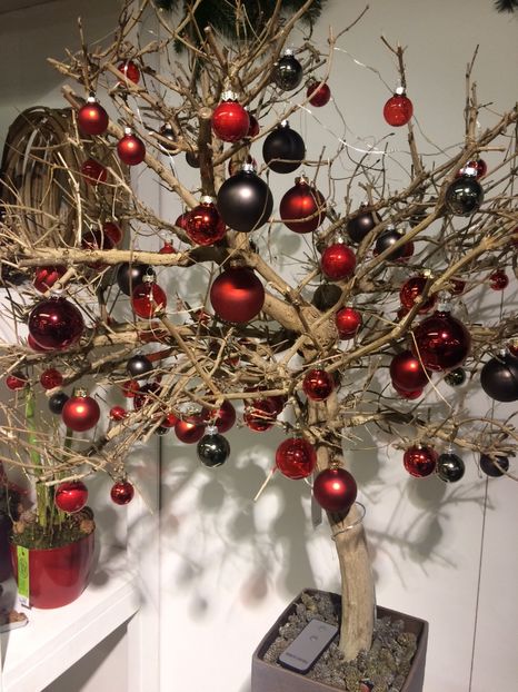 21.11.2018 - Altă florărie