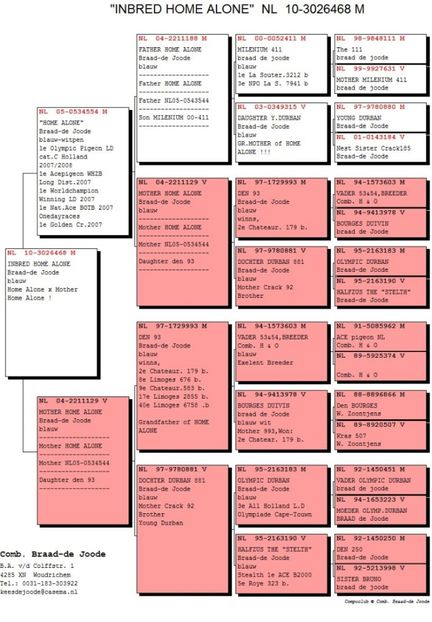 bunic dupa mama NL10-3026468_ped - Jef Red