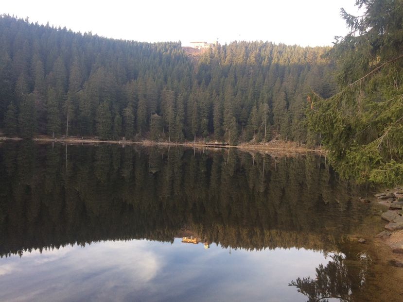 Lac glaciar-Mummelsee - E-Excursii