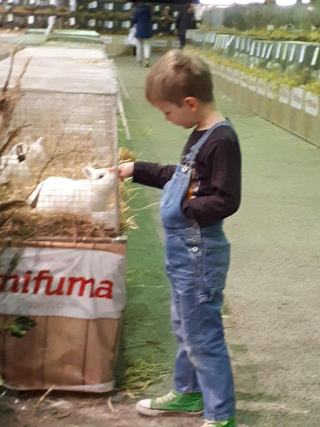  - EXPOZIȚIA EUROPEANĂ - HERNING 2018