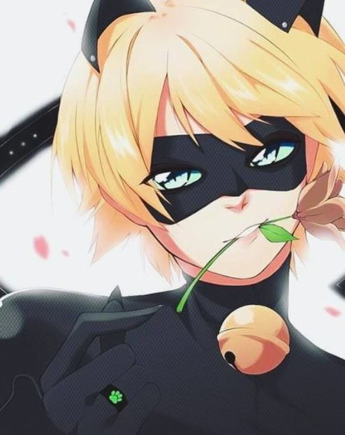  - 01 miraculous