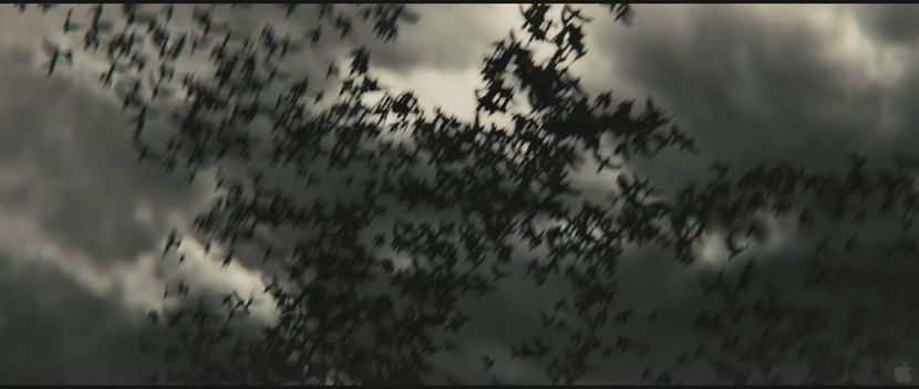 ▬ ce consecinte pot sa apara. Nu isi face un plan concret in ceea ce priveste bataliile tinute, - I - The Goddess Of Death - Change Of Heart