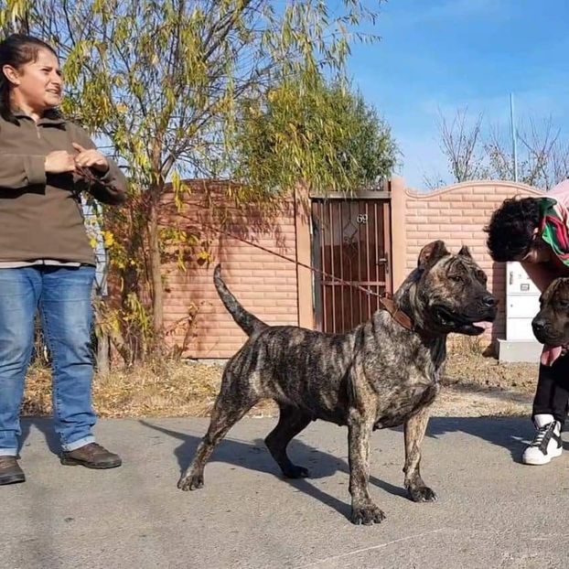 received_222138631836549 - Amira