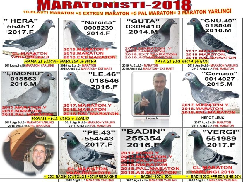 1.2018.MAI.T+ - 2-2018 MARATONISTI