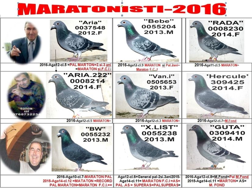 1.2016+ - 2-2017 MARATONISTI