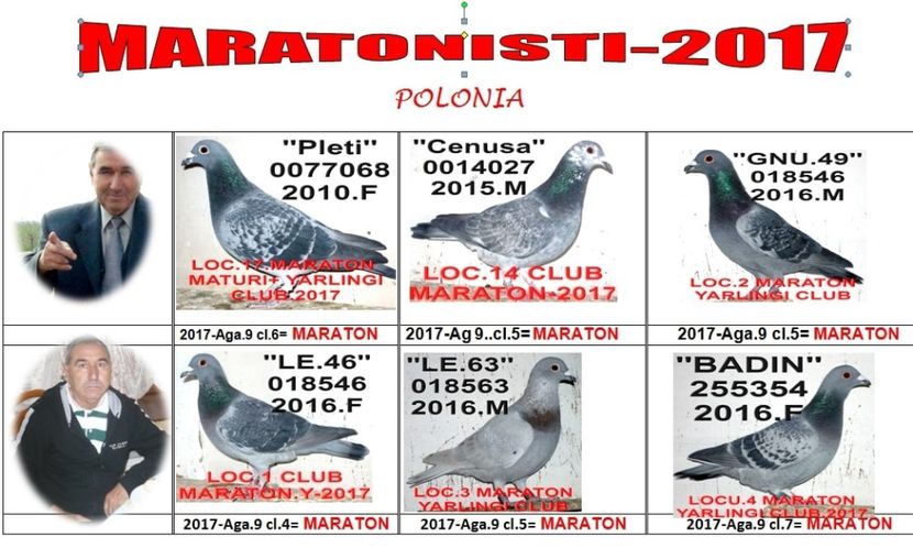 1.2017+ - 2-2016 MARATONISTI