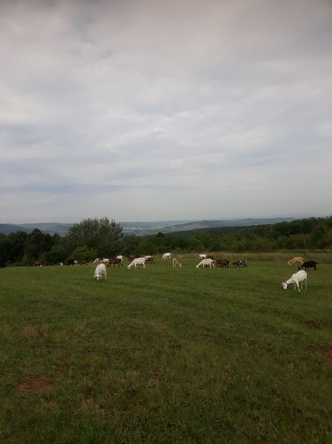  - Noutăți 2018