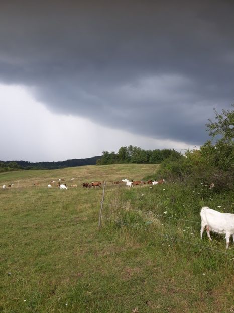  - Noutăți 2018