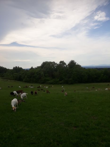  - Noutăți 2018