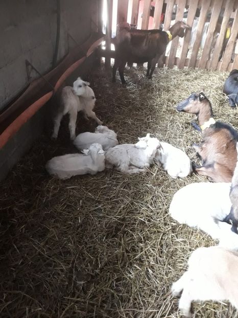  - Noutăți 2018