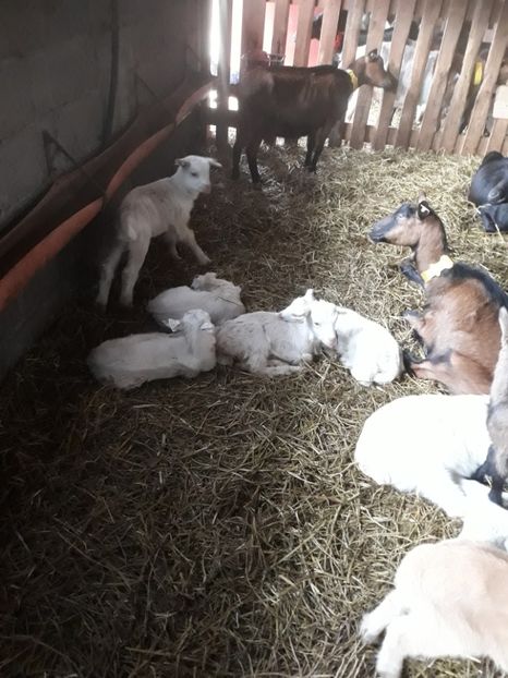  - Noutăți 2018