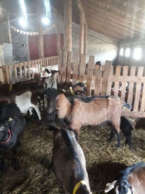  - Noutăți 2018