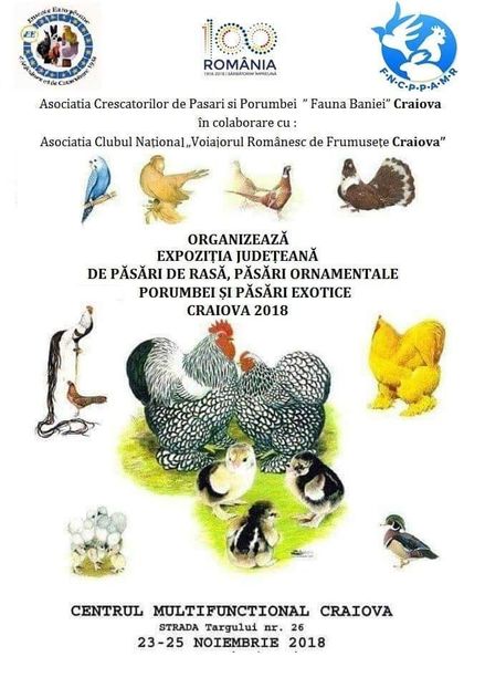  - T--TARGURI SI EXPOZITII