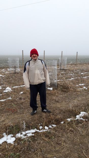  - Livada 1 anul I 2018