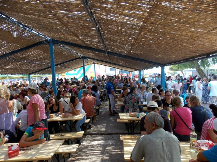  - vacante nesebar 2016 si Cheile Nerei 2017