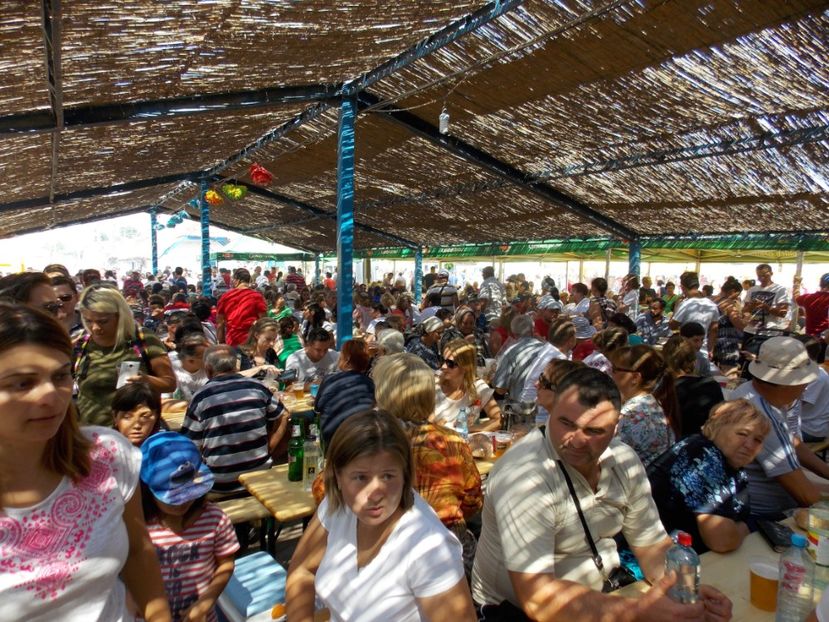  - vacante nesebar 2016 si Cheile Nerei 2017
