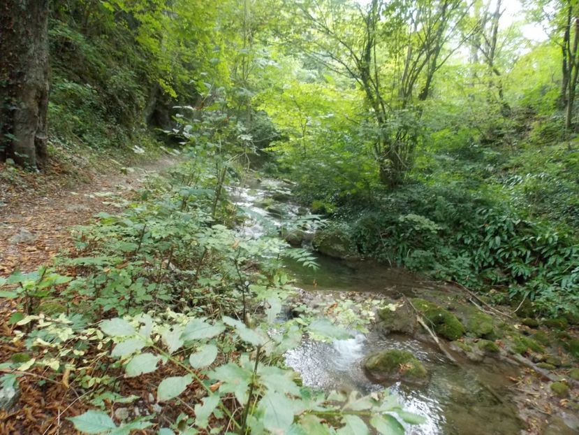  - vacante nesebar 2016 si Cheile Nerei 2017