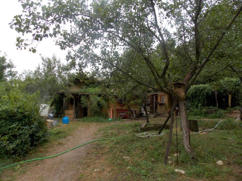  - vacante nesebar 2016 si Cheile Nerei 2017