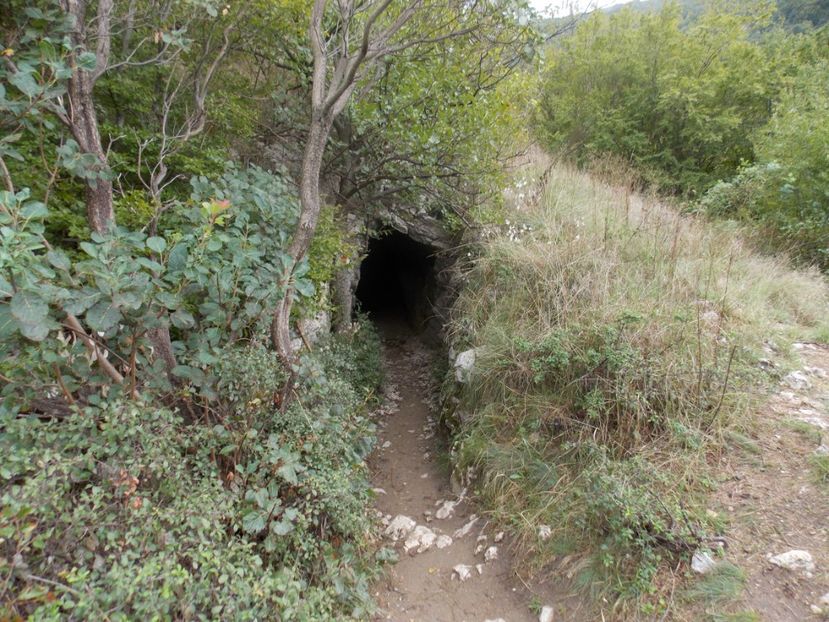  - vacante nesebar 2016 si Cheile Nerei 2017