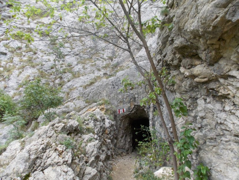  - vacante nesebar 2016 si Cheile Nerei 2017