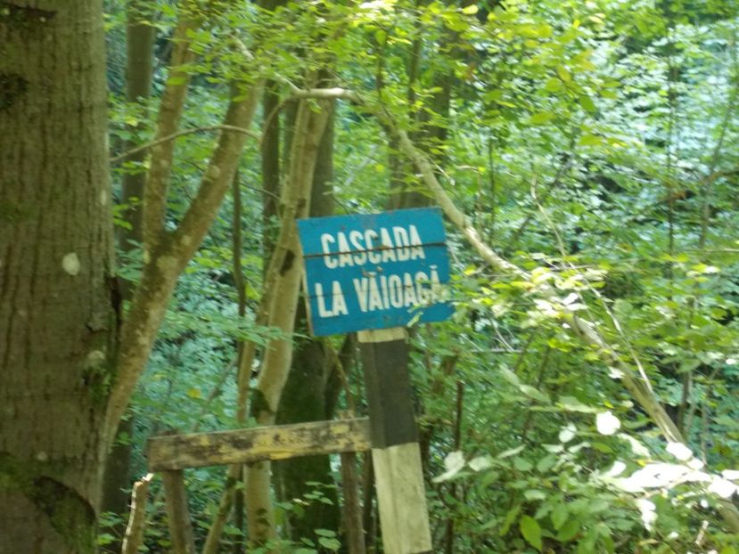  - vacante nesebar 2016 si Cheile Nerei 2017