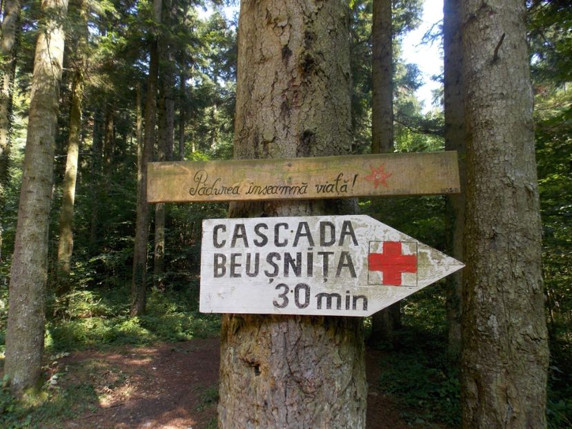  - vacante nesebar 2016 si Cheile Nerei 2017