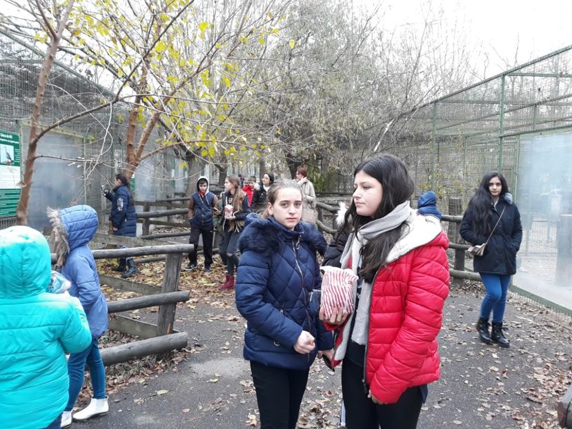 - 2018 - Excursie 17-18 noiembrie